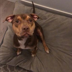 Meet your Posher, Mujahid